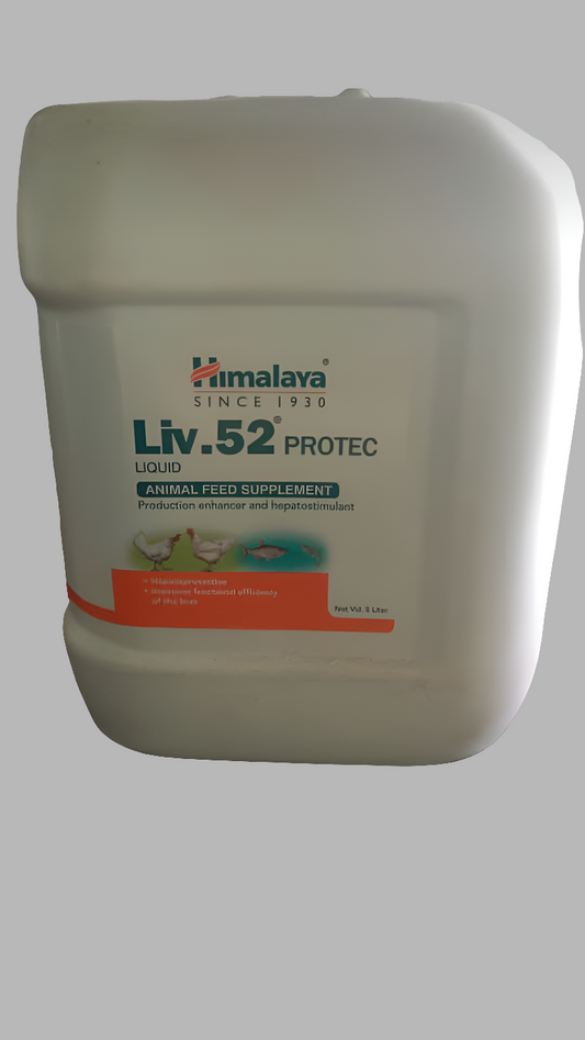 Liv-52 LIQUID